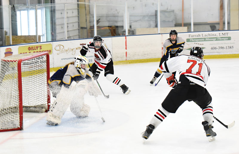 DAWGS SHUT OUT 4-0 BY ICE BEARS